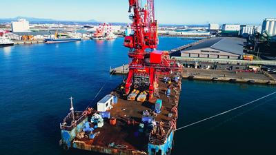 Une grue de 50 mètres de haut sur Cometto MSPE à sa destination finale