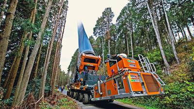 Una espada brillante a través del bosque