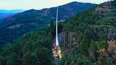 Una espada brillante a través del bosque