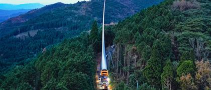 Una espada brillante a través del bosque