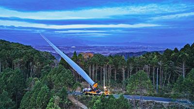 Una espada brillante a través del bosque