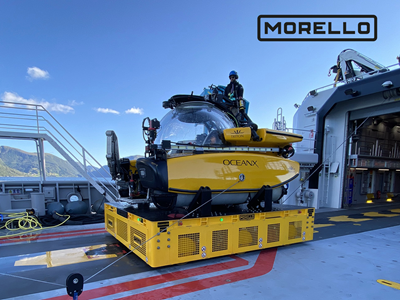 Morello - Nuestras marcas